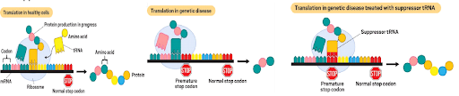 rna-image2