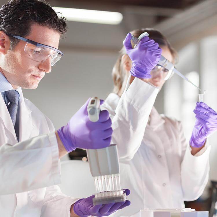 Biological Reactivity Tests In Vitro at William Curran blog